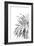 Palm Spring - Noir-Irene Suchocki-Framed Giclee Print