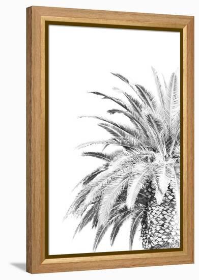 Palm Spring - Noir-Irene Suchocki-Framed Stretched Canvas
