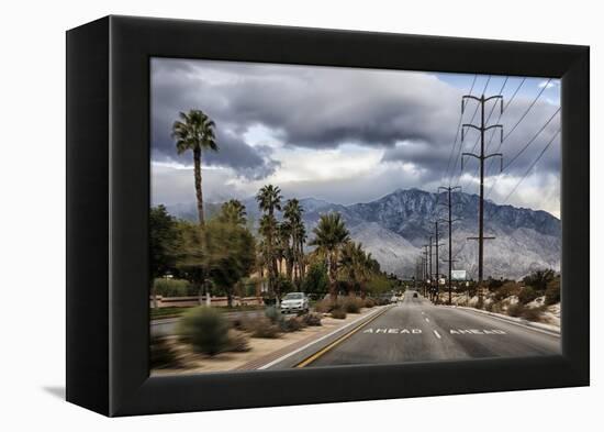 Palm Spring-Janice Sullivan-Framed Premier Image Canvas