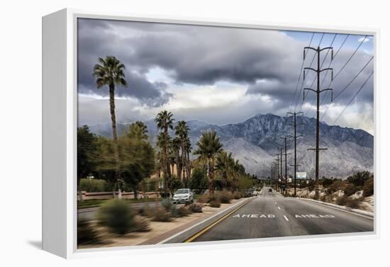 Palm Spring-Janice Sullivan-Framed Premier Image Canvas