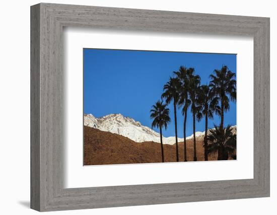 Palm Springs, California-Zandria Muench Beraldo-Framed Photographic Print