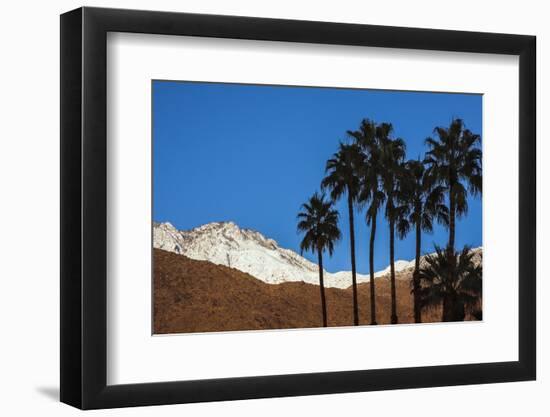 Palm Springs, California-Zandria Muench Beraldo-Framed Photographic Print