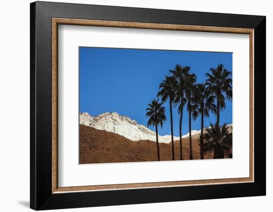 Palm Springs, California-Zandria Muench Beraldo-Framed Photographic Print