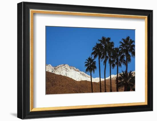 Palm Springs, California-Zandria Muench Beraldo-Framed Photographic Print