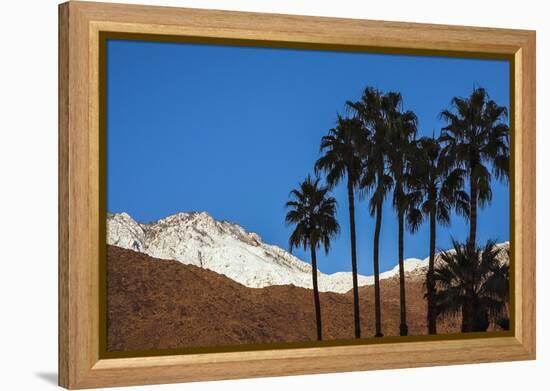 Palm Springs, California-Zandria Muench Beraldo-Framed Premier Image Canvas