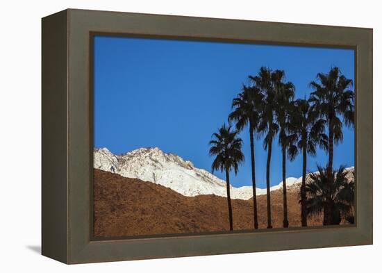 Palm Springs, California-Zandria Muench Beraldo-Framed Premier Image Canvas