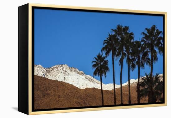 Palm Springs, California-Zandria Muench Beraldo-Framed Premier Image Canvas