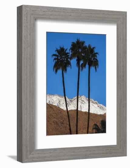 Palm Springs, California-Zandria Muench Beraldo-Framed Photographic Print