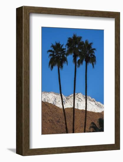 Palm Springs, California-Zandria Muench Beraldo-Framed Photographic Print