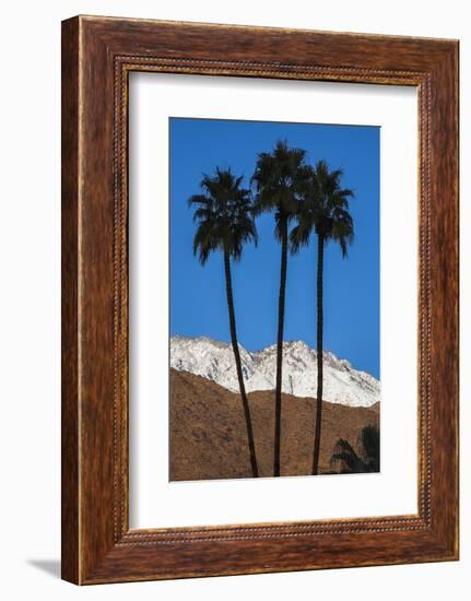 Palm Springs, California-Zandria Muench Beraldo-Framed Photographic Print