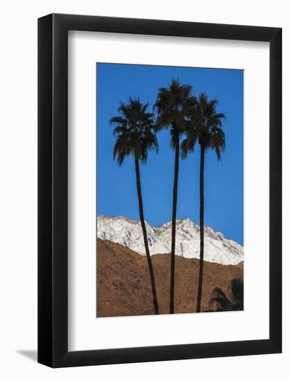 Palm Springs, California-Zandria Muench Beraldo-Framed Photographic Print