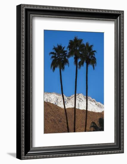 Palm Springs, California-Zandria Muench Beraldo-Framed Photographic Print