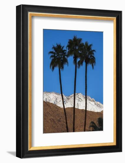 Palm Springs, California-Zandria Muench Beraldo-Framed Photographic Print