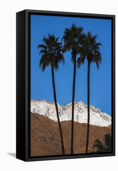 Palm Springs, California-Zandria Muench Beraldo-Framed Premier Image Canvas