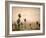 Palm Springs Desert-Gunnar Widforss-Framed Art Print