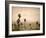 Palm Springs Desert-Gunnar Widforss-Framed Art Print