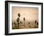 Palm Springs Desert-Gunnar Widforss-Framed Art Print