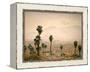 Palm Springs Desert-Gunnar Widforss-Framed Stretched Canvas