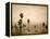 Palm Springs Desert-Gunnar Widforss-Framed Stretched Canvas