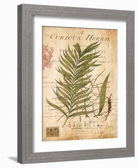 Palm Study I-Deborah Devellier-Framed Art Print