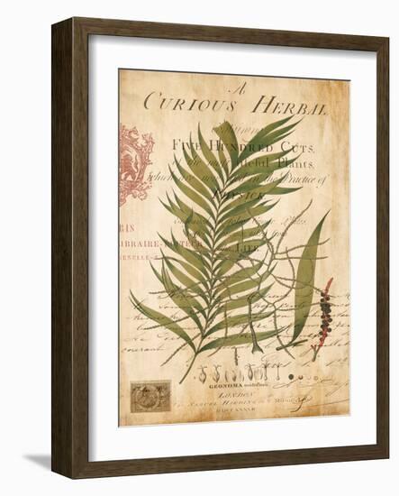 Palm Study I-Deborah Devellier-Framed Art Print