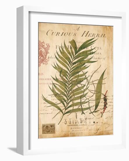 Palm Study I-Deborah Devellier-Framed Art Print