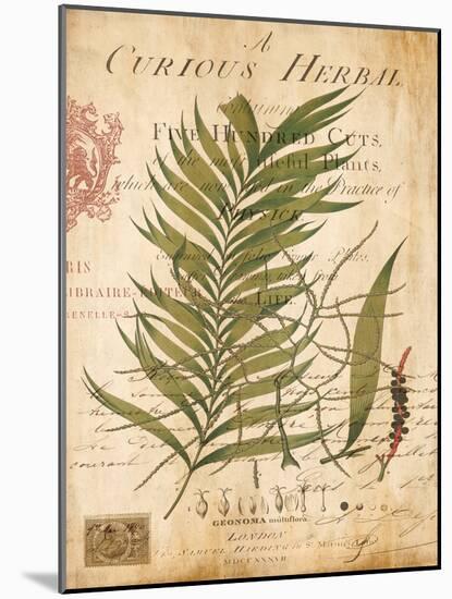 Palm Study I-Deborah Devellier-Mounted Art Print