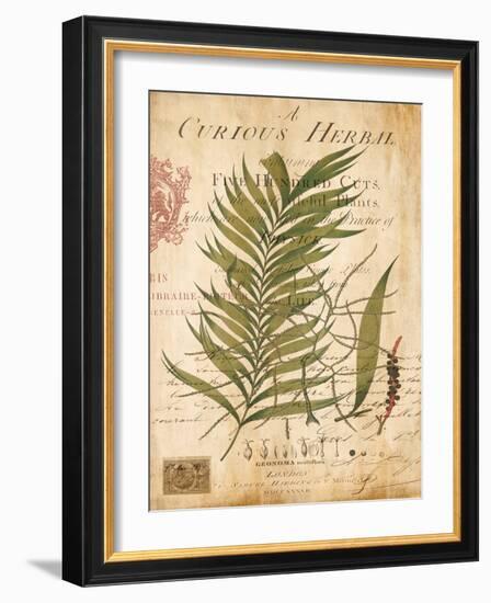 Palm Study I-Deborah Devellier-Framed Art Print