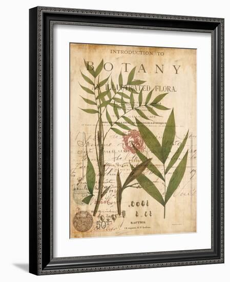 Palm Study II-Deborah Devellier-Framed Art Print
