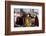 Palm Sunday Procession, Axoum (Axum) (Aksum), Tigre Region, Ethiopia, Africa-Bruno Barbier-Framed Photographic Print