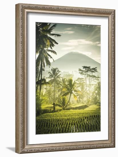 Palm Sunrise-Joseph Eta-Framed Giclee Print