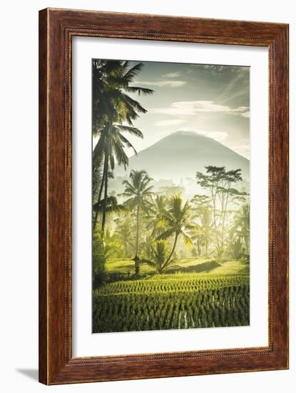 Palm Sunrise-Joseph Eta-Framed Giclee Print