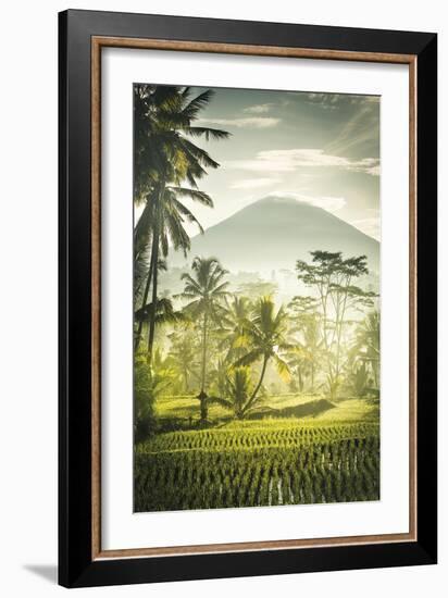 Palm Sunrise-Joseph Eta-Framed Giclee Print