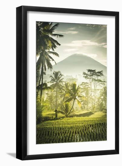 Palm Sunrise-Joseph Eta-Framed Giclee Print