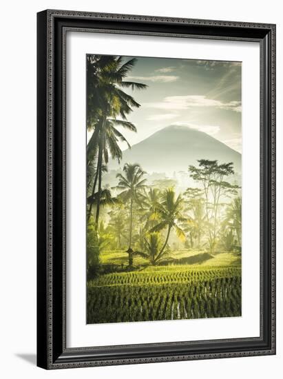 Palm Sunrise-Joseph Eta-Framed Giclee Print