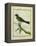 Palm Tanager-Georges-Louis Buffon-Framed Premier Image Canvas