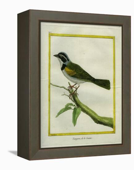 Palm Tanager-Georges-Louis Buffon-Framed Premier Image Canvas