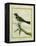 Palm Tanager-Georges-Louis Buffon-Framed Premier Image Canvas