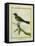 Palm Tanager-Georges-Louis Buffon-Framed Premier Image Canvas