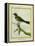 Palm Tanager-Georges-Louis Buffon-Framed Premier Image Canvas