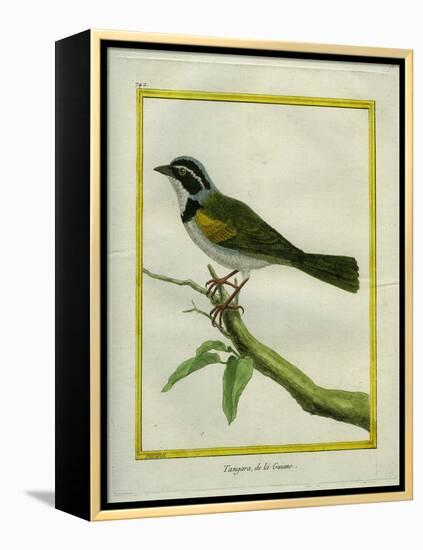 Palm Tanager-Georges-Louis Buffon-Framed Premier Image Canvas