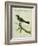 Palm Tanager-Georges-Louis Buffon-Framed Giclee Print