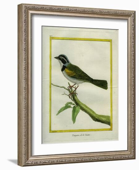 Palm Tanager-Georges-Louis Buffon-Framed Giclee Print