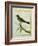 Palm Tanager-Georges-Louis Buffon-Framed Giclee Print