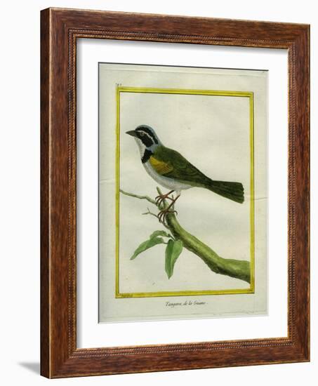 Palm Tanager-Georges-Louis Buffon-Framed Giclee Print