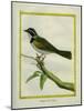 Palm Tanager-Georges-Louis Buffon-Mounted Giclee Print