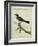 Palm Tanager-Georges-Louis Buffon-Framed Giclee Print