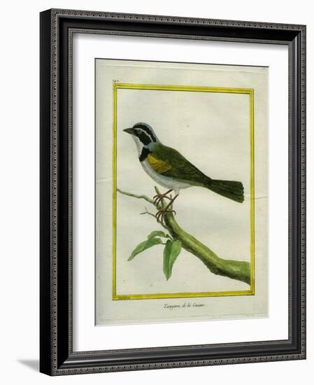 Palm Tanager-Georges-Louis Buffon-Framed Giclee Print