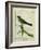 Palm Tanager-Georges-Louis Buffon-Framed Giclee Print