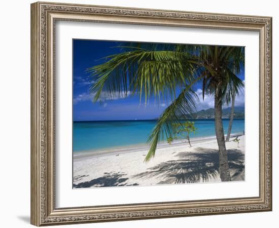 Palm Tee and Beach, Grand Anse Beach, Grenada, Windward Islands, Caribbean, West Indies-John Miller-Framed Photographic Print